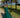 Robe IOWA verte