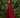 Robe STELLAR BLOOM marsala